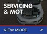 Servicing and MOT